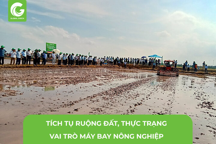 Tích Tụ Ruộng Đất, Thực Trạng Vai Trò Máy Bay Nông Nghiệp, Cors