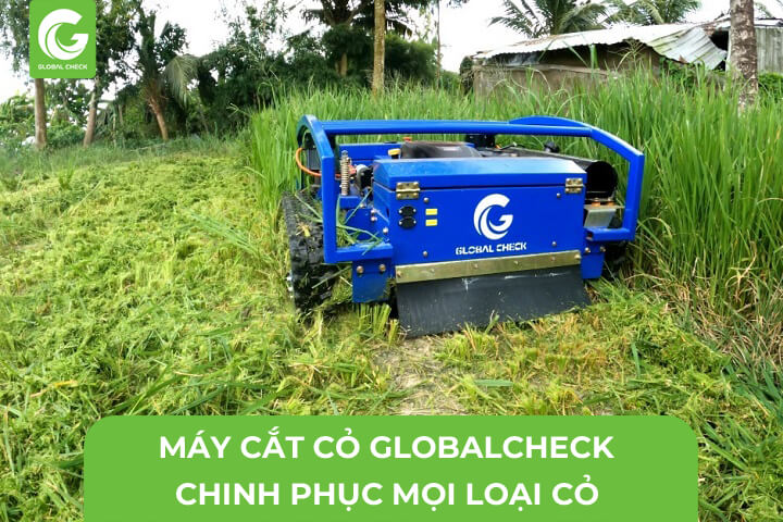 Máy Cắt Cỏ GlobalCheck Chinh Phục Mọi Loại Cỏ