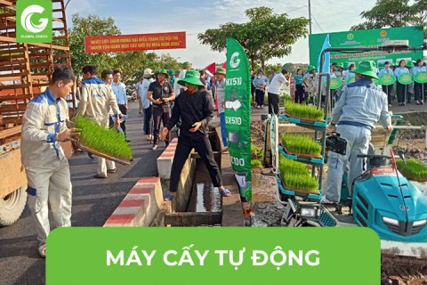 Máy Cấy Tự Động