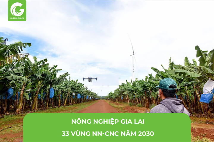 Nông Nghiệp Gia Lai- 33 Vùng Nông Nghiệp Công Nghệ Cao 2030