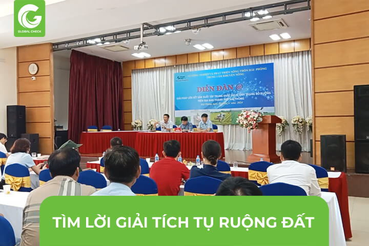 Tìm Lời Giải Tích Tụ Ruộng Đất