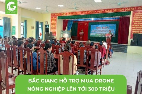 Bắc Giang Hỗ Trợ Mua Máy Bay Nông Nghiệp Lên Tới 300 Triệu Đồng