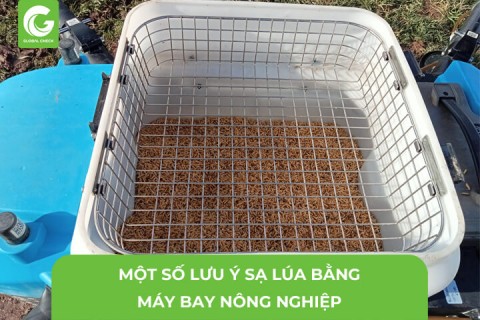 Một Số Lưu Ý Sạ Lúa Máy Bay Nông Nghiệp