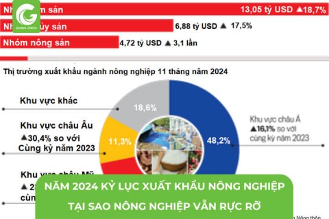 Năm 2024 Kỷ Lục Xuất Khẩu Nông, Lâm, Thủy Sản. Tại Sao Nông Nghiệp Vẫn Rực Rỡ?