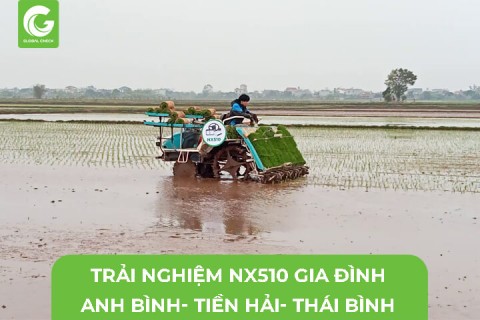 Trải Nghiệm Máy Cấy Tự Động Lắp NX510 Gia Đình Anh Bình- Tiền Hải- Thái Bình