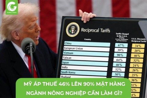 Mỹ Áp Thuế Đối Ứng 46% Lên 90% Mặt Hàng, Ngành Nông Nghiệp Cần Làm Gì?