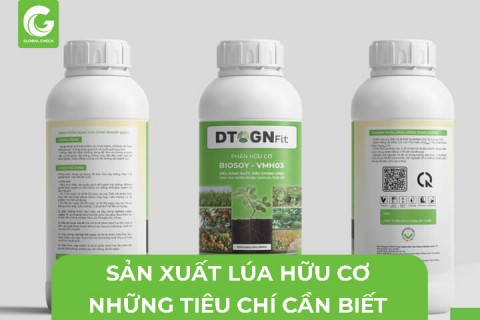 Sản Xuất Lúa Hữu Cơ, Những Tiêu Chí Cần Biết
