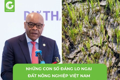 Những Con Số Đáng Lo Ngại Đất Nông Nghiệp Việt Nam