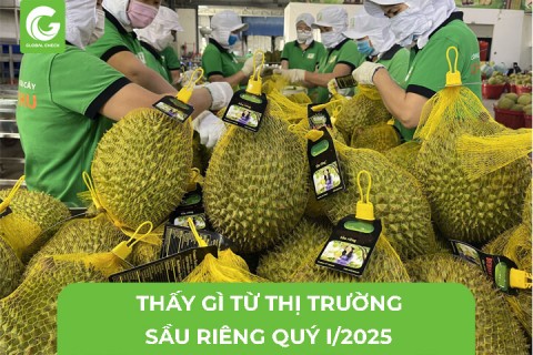 Thấy Gì Từ Thị Trường Sầu Riêng Quý I/2025