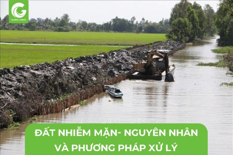 Đất Nhiễm Mặn, Nguyên Nhân Và Phương Pháp Xử Lý