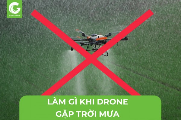 Làm Gì Khi Máy Bay Nông Nghiệp Gặp Trời Mưa