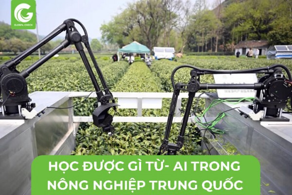 Việt Nam Học Gì Từ Nền Nông Nghiệp Trung Quốc Áp Dụng AI?