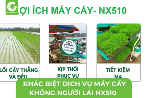 Khác Biệt Sử Dụng Dịch Vụ Máy Cấy Gắn NX510