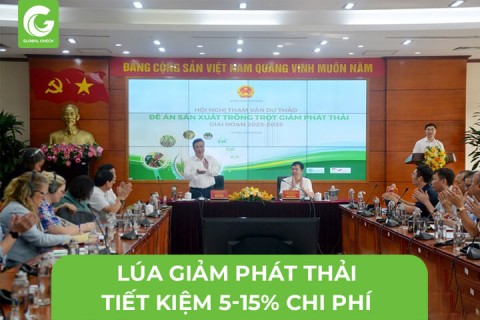 Lúa Giảm Phát Thải Tiết Kiệm Từ 5-15% Chi Phí Đầu Vào