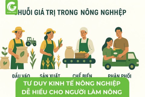 Tư Duy Kinh Tế Nông Nghiệp Dễ Hiểu Cho Người Làm Nông