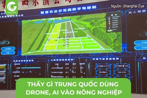 Thấy Gì Từ Việc Trung Quốc Ứng Dụng Drone Và AI Vào Nông Nghiệp