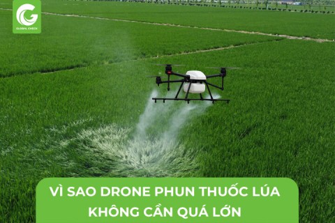 Vì Sao Drone Phun Thuốc Lúa Không Cần Quá Lớn