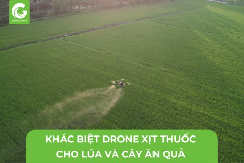 Sự Khác Biệt Máy Bay Xịt Thuốc Cho Cây Lúa- Cây Ăn Quả