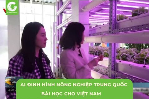 Trí Tuệ Nhân Tạo Định Hình Nông Nghiệp Trung Quốc Bài Học Việt Nam