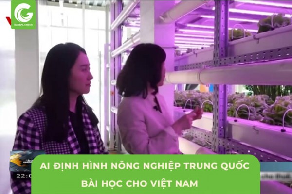 Trí Tuệ Nhân Tạo Định Hình Nông Nghiệp Trung Quốc Bài Học Việt Nam