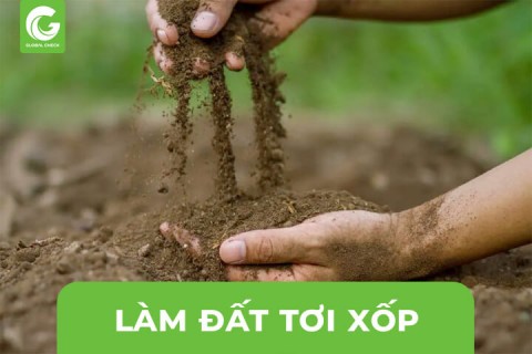 Nguyên Lý Làm Đất Nông Nghiệp Tơi Xốp