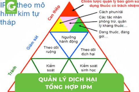 Quản Lý Dịch Hại Tổng Hợp (IPM) Trong Nông Nghiệp