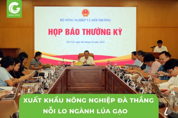 Xuất Khẩu Nông Nghiệp Đà Thắng- Nỗi Lo Ngành Lúa Gạo