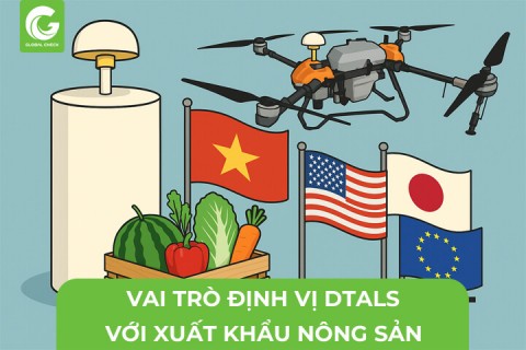 Vai Trò Định Vị Chính Xác DTALS Với Xuất Khẩu Nông Sản