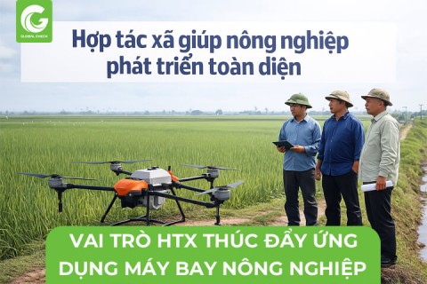 Vai Trò Hợp Tác Xã Thúc Đẩy Ứng Dụng Máy Bay Phun Thuốc