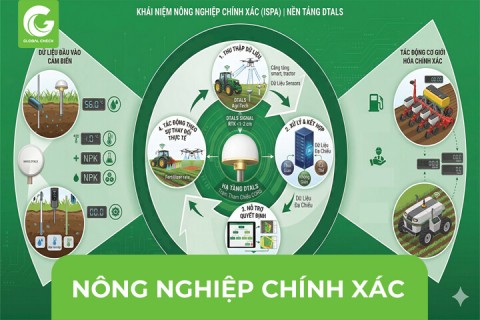 Nông Nghiệp Chính Xác