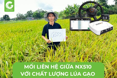 Mối Liên Hệ Giữa Thiết Bị Dẫn Đường Tự Động NX510 Và Chất Lượng Lúa Gạo