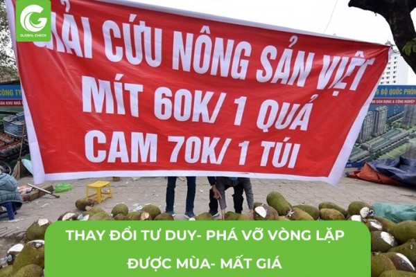 Thay Đổi Tư Duy- Phá Vỡ Vòng Lặp Được Mùa Mất Giá