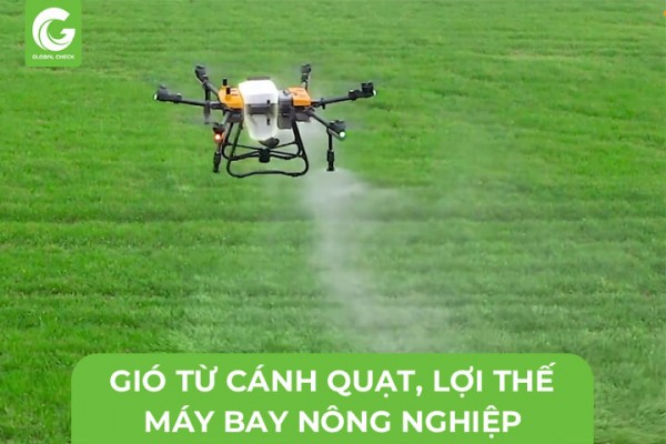 Gió Từ Cánh Quạt, Lợi Thế Chỉ Có Từ Máy Bay Nông Nghiệp