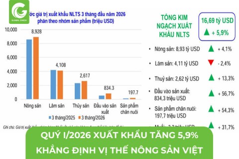 Nông Nghiệp Xuất Khẩu Quý I/2026 Tăng 5,9%, Khẳng Định Vị Thế