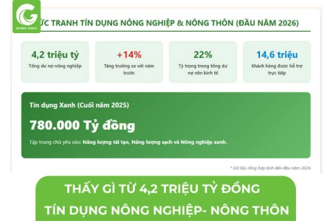 Thấy Gì Từ 4.2 Triệu Tỷ Đồng Tín Dụng Cho Nông Nghiệp, Nông Thôn