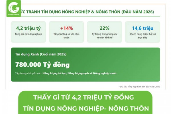 Thấy Gì Từ 4.2 Triệu Tỷ Đồng Tín Dụng Cho Nông Nghiệp, Nông Thôn