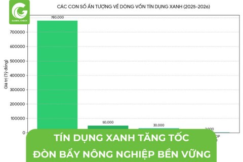 Dòng Tín Dụng Xanh Tăng Tốc- Đòn Bẩy Nông Nghiệp Bền Vững