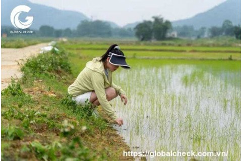 Công nghệ 4.0 thu hút nông dân trẻ làm giàu ở Trung Quốc