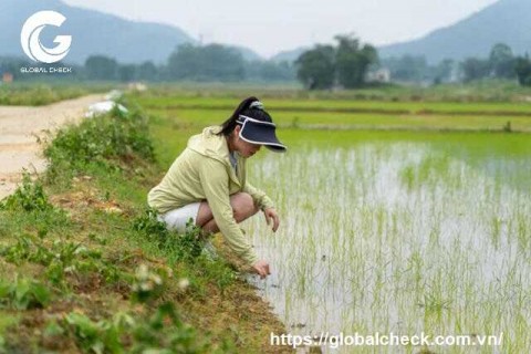 Công nghệ 4.0 thu hút nông dân trẻ làm giàu ở Trung Quốc