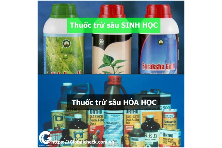 Phân biệt thuốc trừ sâu sinh học với hóa học