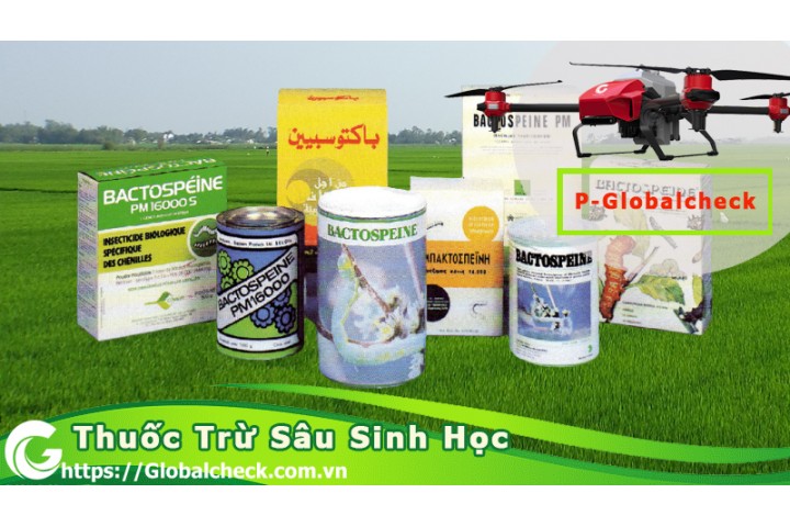 Nguồn gốc và tên các loại thuốc trừ sâu sinh học tốt nhất 2021