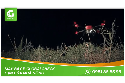 Máy bay Globalcheck - Bạn của nhà nông | Máy bay nông nghiệp Globalcheck