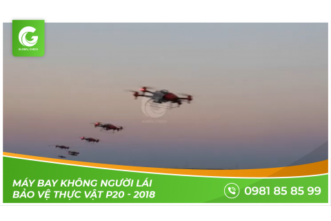 Máy bay không người lái bảo vệ thực vật P20