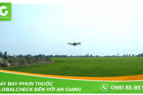 Máy bay phun thuốc Globalcheck đến với An Giang - Tôi Yêu An Giang