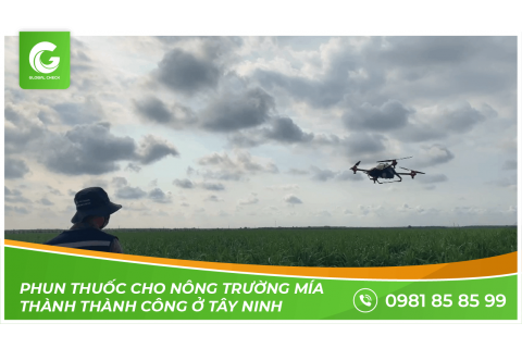 Máy bay phun thuốc nông nghiệp phun thuốc cho nông trường mía Thành Thành Công ở Tây Ninh