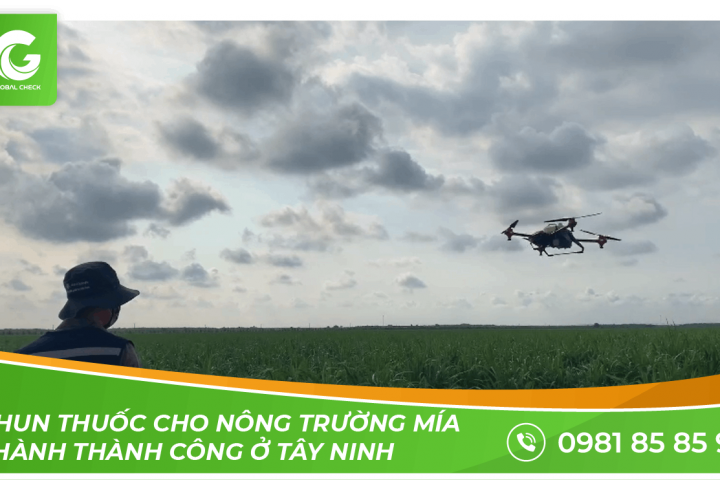 Máy bay phun thuốc nông nghiệp phun thuốc cho nông trường mía Thành Thành Công ở Tây Ninh