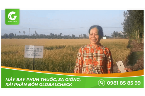 Máy bay phun thuốc, sạ giống, rải phân bón Globalcheck thực nghiệm tại Hậu Giang | 3 trong 1
