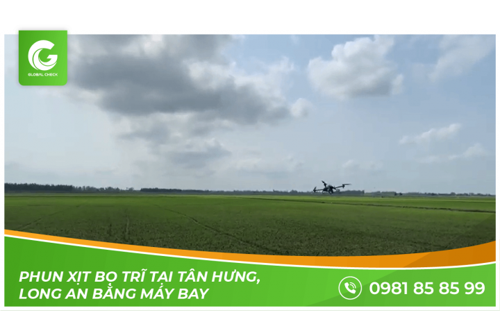 Video phun xịt bọ trĩ tại Tân Hưng - Long An bằng máy bay do khách hàng gửi về | Máy bay nông nghiệp Globalcheck