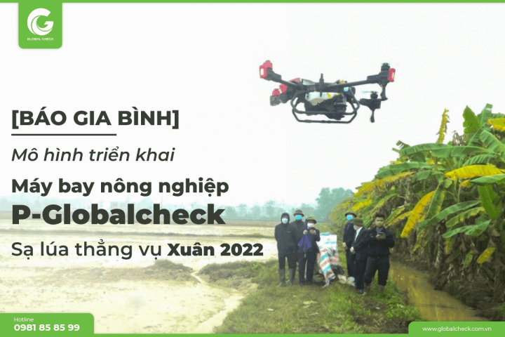 Máy bay nông nghiệp Globalcheck sạ lúa tại Bắc Ninh