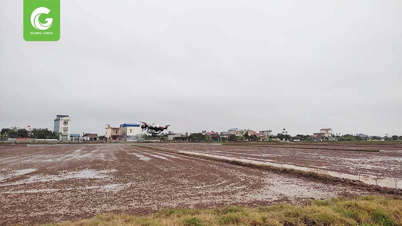 máy bay phun thuốc nam định